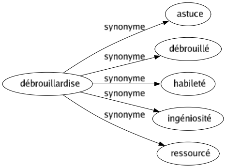 Synonyme de Débrouillardise : Astuce Débrouillé Habileté Ingéniosité Ressourcé 