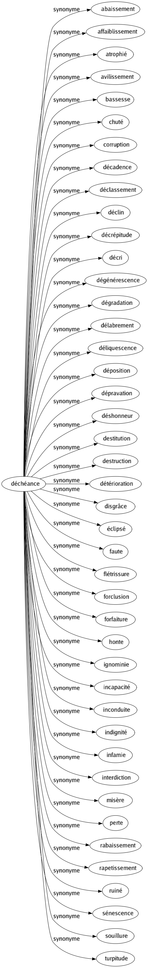 Synonyme de Déchéance : Abaissement Affaiblissement Atrophié Avilissement Bassesse Chuté Corruption Décadence Déclassement Déclin Décrépitude Décri Dégénérescence Dégradation Délabrement Déliquescence Déposition Dépravation Déshonneur Destitution Destruction Détérioration Disgrâce Éclipsé Faute Flétrissure Forclusion Forfaiture Honte Ignominie Incapacité Inconduite Indignité Infamie Interdiction Misère Perte Rabaissement Rapetissement Ruiné Sénescence Souillure Turpitude 