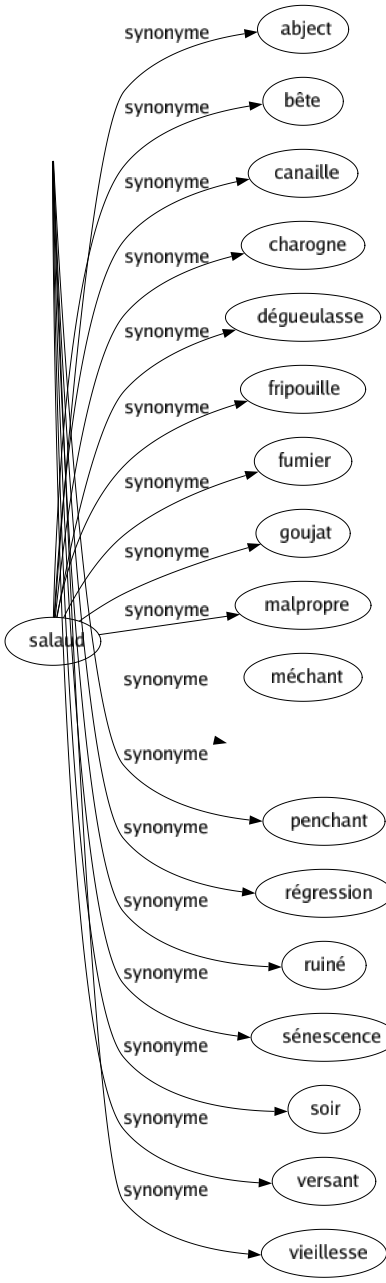 Synonyme de Déclin : Abaissement Affaiblissement Affaissement Agonie Baissé Chuté Couchant Crépuscule Décadence Déchéance Décours Décrépitude Décroissance Décroissement Décroît Dégénérescence Dégradation Délabrement Dépérissement Détérioration Diminution Ébranlement Étiolement Fin Obscurcissement Penchant Régression Ruiné Sénescence Soir Versant Vieillesse 