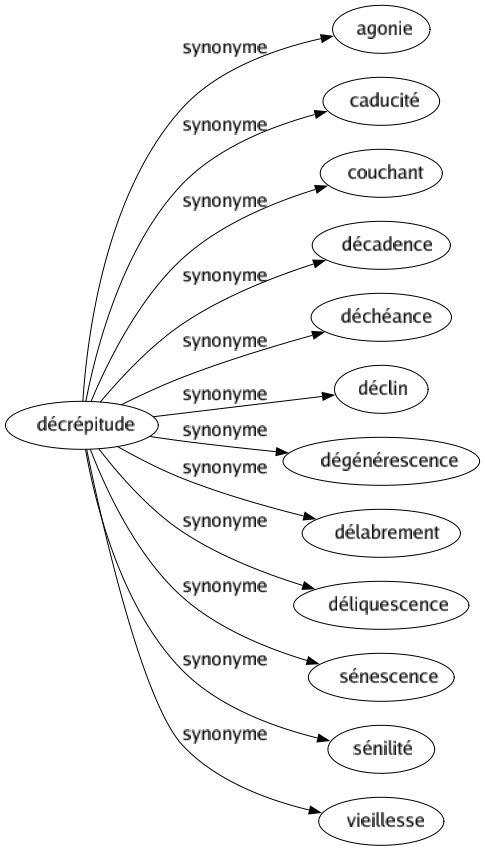 Synonyme de Décrépitude : Agonie Caducité Couchant Décadence Déchéance Déclin Dégénérescence Délabrement Déliquescence Sénescence Sénilité Vieillesse 