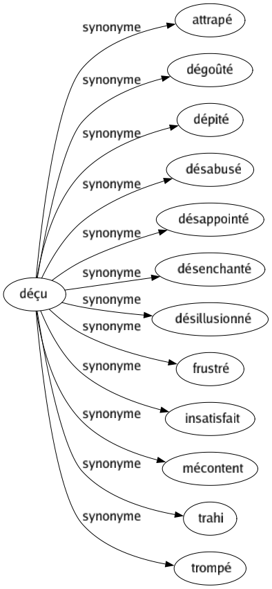 Synonyme de Déçu : Attrapé Dégoûté Dépité Désabusé Désappointé Désenchanté Désillusionné Frustré Insatisfait Mécontent Trahi Trompé 