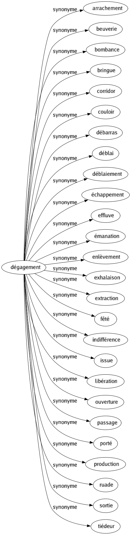Synonyme de Dégagement : Arrachement Beuverie Bombance Bringue Corridor Couloir Débarras Déblai Déblaiement Échappement Effluve Émanation Enlèvement Exhalaison Extraction Fêté Indifférence Issue Libération Ouverture Passage Porté Production Ruade Sortie Tiédeur 