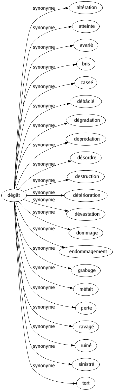 Synonyme de Dégât : Altération Atteinte Avarié Bris Cassé Débâclé Dégradation Déprédation Désordre Destruction Détérioration Dévastation Dommage Endommagement Grabuge Méfait Perte Ravagé Ruiné Sinistré Tort 