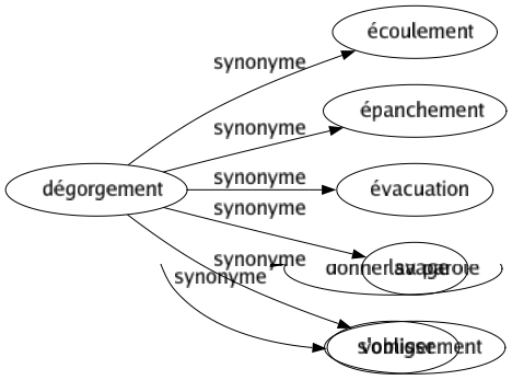 Synonyme de Dégorgement : Écoulement Épanchement Évacuation Lavage Vomissement 