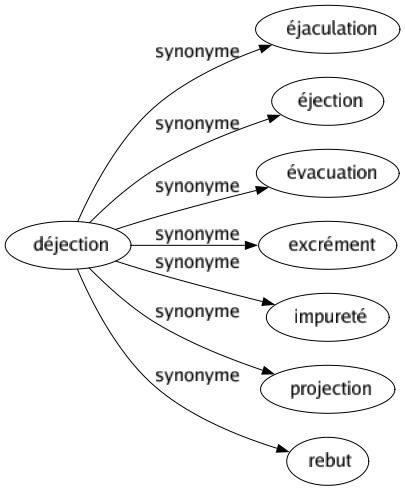 Synonyme de Déjection : Éjaculation Éjection Évacuation Excrément Impureté Projection Rebut 