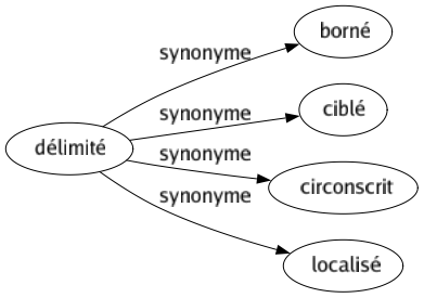 Synonyme de Délimité : Borné Ciblé Circonscrit Localisé 
