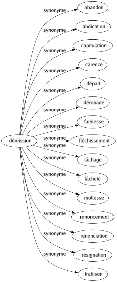 Synonyme de Démission : Abandon Abdication Capitulation Carence Départ Dérobade Faiblesse Fléchissement Lâchage Lâcheté Mollesse Renoncement Renonciation Résignation Trahison 