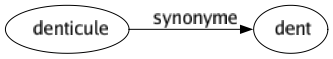 Synonyme de Denticule : Dent 