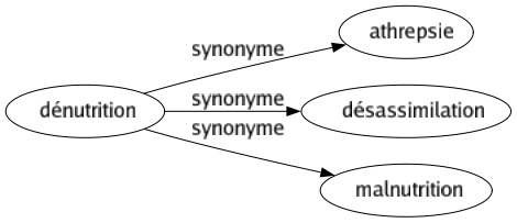 Synonyme de Dénutrition : Athrepsie Désassimilation Malnutrition 