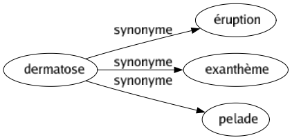 Synonyme de Dermatose : Éruption Exanthème Pelade 