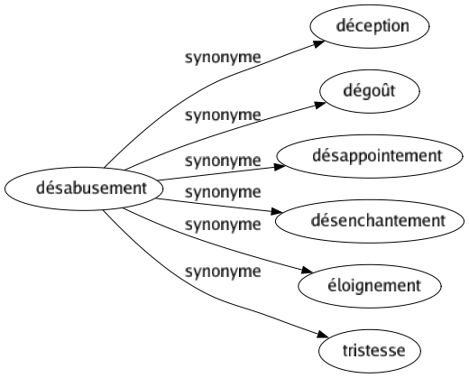 Synonyme de Désabusement : Déception Dégoût Désappointement Désenchantement Éloignement Tristesse 