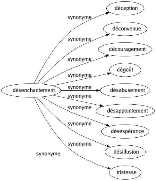 Synonyme de Désenchantement : Déception Déconvenue Découragement Dégoût Désabusement Désappointement Désespérance Désillusion Tristesse 