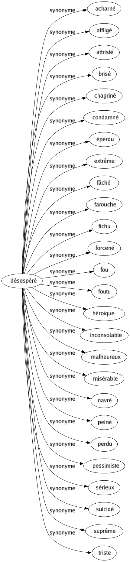 Synonyme de Désespéré : Acharné Affligé Attristé Brisé Chagriné Condamné Éperdu Extrême Fâché Farouche Fichu Forcené Fou Foutu Héroïque Inconsolable Malheureux Misérable Navré Peiné Perdu Pessimiste Sérieux Suicidé Suprême Triste 