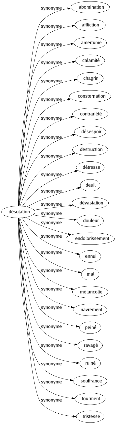 Synonyme de Désolation : Abomination Affliction Amertume Calamité Chagrin Consternation Contrariété Désespoir Destruction Détresse Deuil Dévastation Douleur Endolorissement Ennui Mal Mélancolie Navrement Peiné Ravagé Ruiné Souffrance Tourment Tristesse 