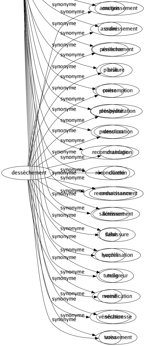 Synonyme de Dessèchement : Amaigrissement Assainissement Assèchement Brûlure Consomption Déshydratation Dessiccation Drainage Dureté Endurcissement Flétrissement Flétrissure Lyophilisation Maigreur Momification Sécheresse Tarissement 
