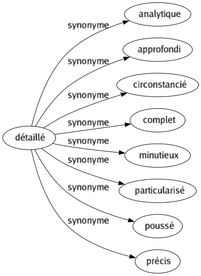 Synonyme de Détaillé : Analytique Approfondi Circonstancié Complet Minutieux Particularisé Poussé Précis 