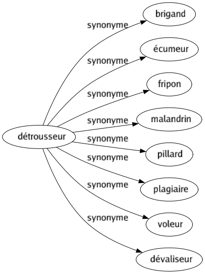 Synonyme de Détrousseur : Brigand Écumeur Fripon Malandrin Pillard Plagiaire Voleur Dévaliseur 