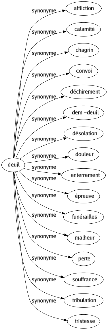Synonyme de Deuil : Affliction Calamité Chagrin Convoi Déchirement Demi-deuil Désolation Douleur Enterrement Épreuve Funérailles Malheur Perte Souffrance Tribulation Tristesse 