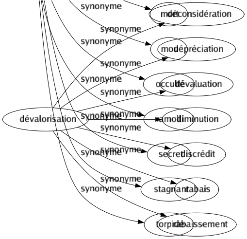 Synonyme de Dévalorisation : Déconsidération Dépréciation Dévaluation Diminution Discrédit Rabais Rabaissement 