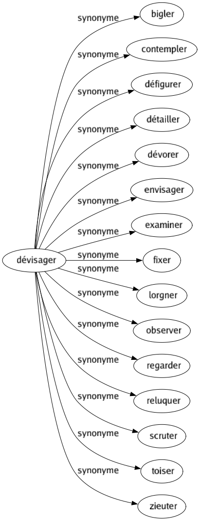 Synonyme de Dévisager : Bigler Contempler Défigurer Détailler Dévorer Envisager Examiner Fixer Lorgner Observer Regarder Reluquer Scruter Toiser Zieuter 