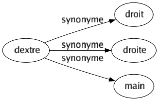 Synonyme de Dextre : Droit Droite Main 