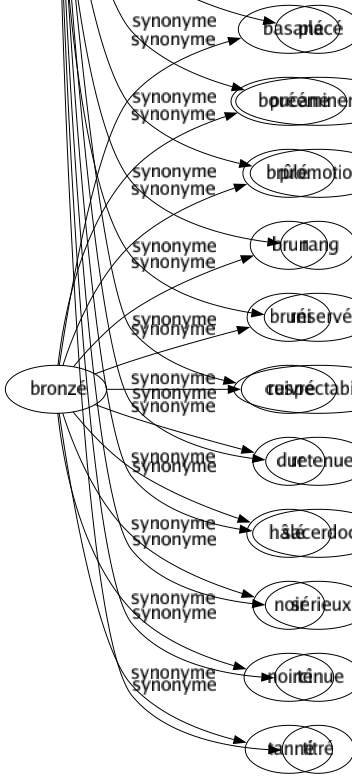 Synonyme de Dignité : Amour-propre Caractère Chargé Décence Distinction Élévation Fierté Fonction Gradé Grandeur Gravité Honnêteté Honneur Honorabilité Investiture Majesté Noblesse Placé Prééminence Promotion Rang Réservé Respectabilité Retenue Sacerdoce Sérieux Ténue Titré 