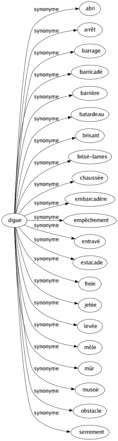 Synonyme de Digue : Abri Arrêt Barrage Barricadé Barrière Batardeau Brisant Brise-lames Chaussée Embarcadère Empêchement Entravé Estacade Frein Jetée Levée Môle Mûr Musoir Obstacle Serrement 