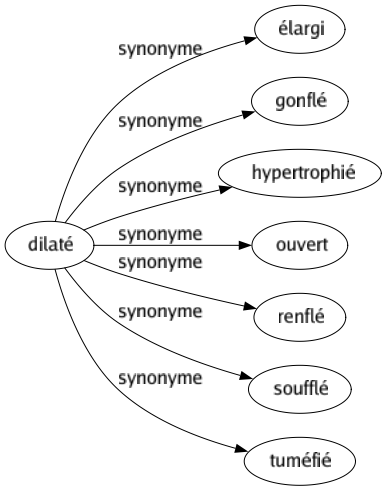 Synonyme de Dilaté : Élargi Gonflé Hypertrophié Ouvert Renflé Soufflé Tuméfié 