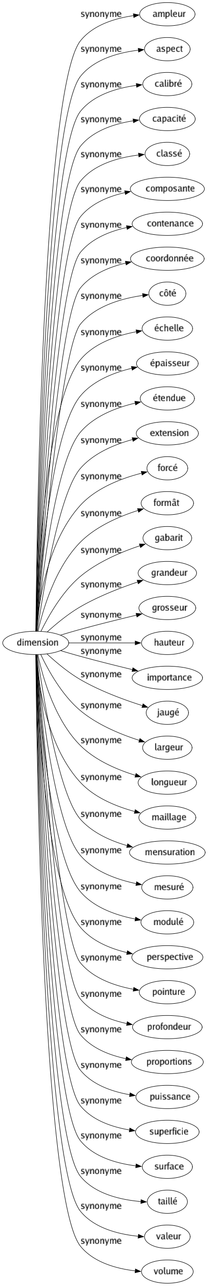 Synonyme de Dimension : Ampleur Aspect Calibré Capacité Classé Composante Contenance Coordonnée Côté Échelle Épaisseur Étendue Extension Forcé Formât Gabarit Grandeur Grosseur Hauteur Importance Jaugé Largeur Longueur Maillage Mensuration Mesuré Modulé Perspective Pointure Profondeur Proportions Puissance Superficie Surface Taillé Valeur Volume 