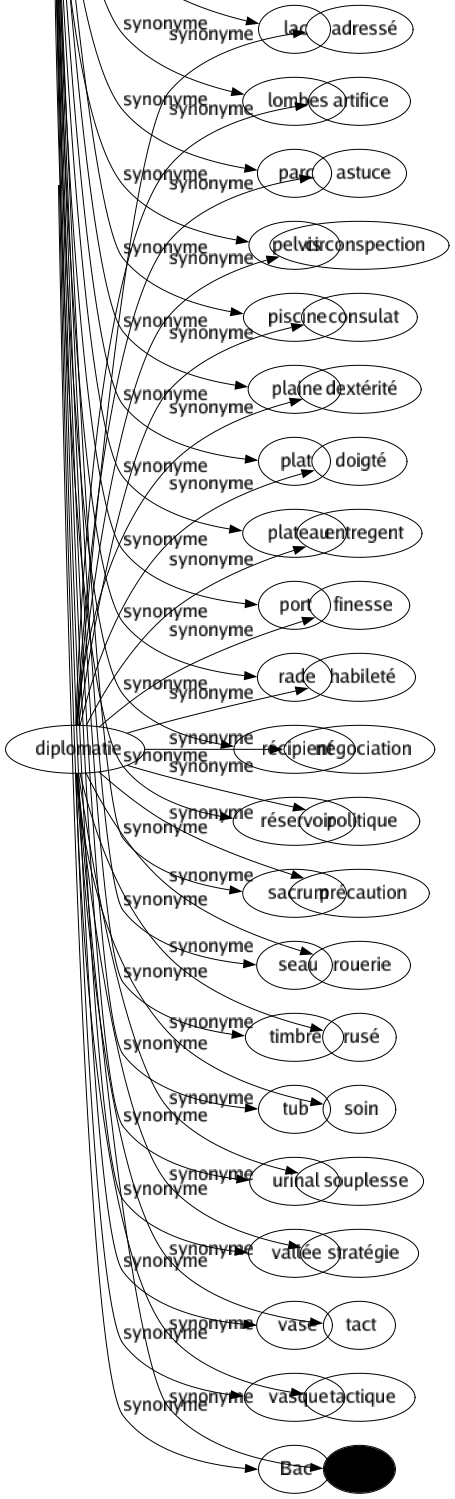 Synonyme de Diplomatie : Adressé Artifice Astuce Circonspection Consulat Dextérité Doigté Entregent Finesse Habileté Négociation Politique Précaution Rouerie Rusé Soin Souplesse Stratégie Tact Tactique Truc 