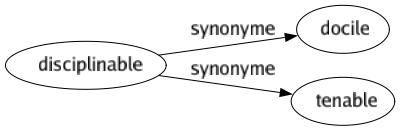 Synonyme de Disciplinable : Docile Tenable 