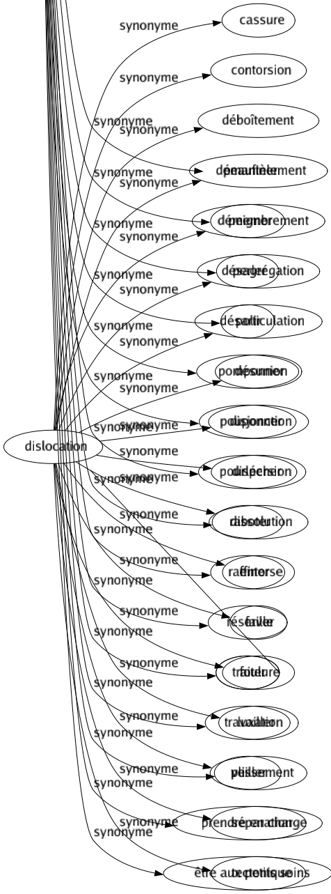Synonyme de Dislocation : Cassure Contorsion Déboîtement Démantèlement Démembrement Désagrégation Désarticulation Désunion Disjonction Dispersion Dissolution Entorse Faille Foulure Luxation Plissement Séparation Tectonique 