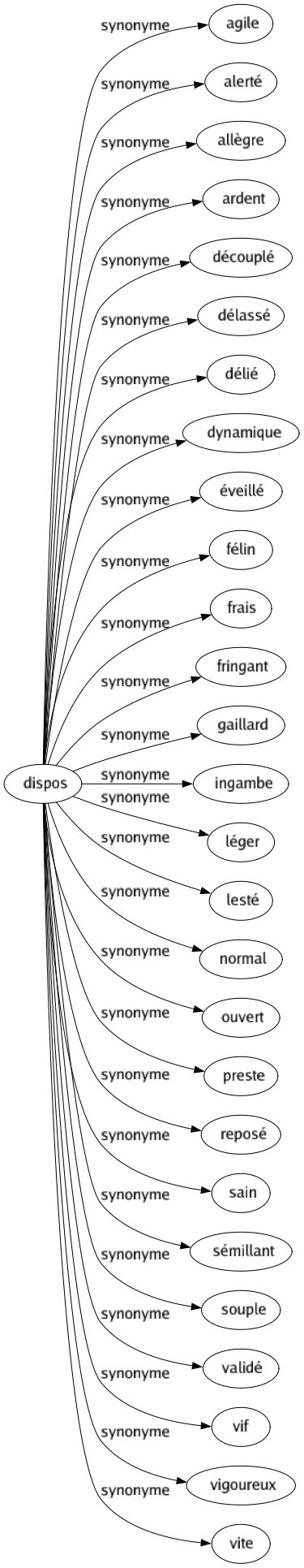 Synonyme de Dispos : Agile Alerté Allègre Ardent Découplé Délassé Délié Dynamique Éveillé Félin Frais Fringant Gaillard Ingambe Léger Lesté Normal Ouvert Preste Reposé Sain Sémillant Souple Validé Vif Vigoureux Vite 