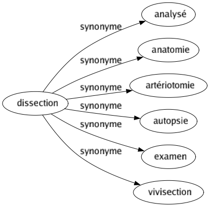 Synonyme de Dissection : Analysé Anatomie Artériotomie Autopsie Examen Vivisection 