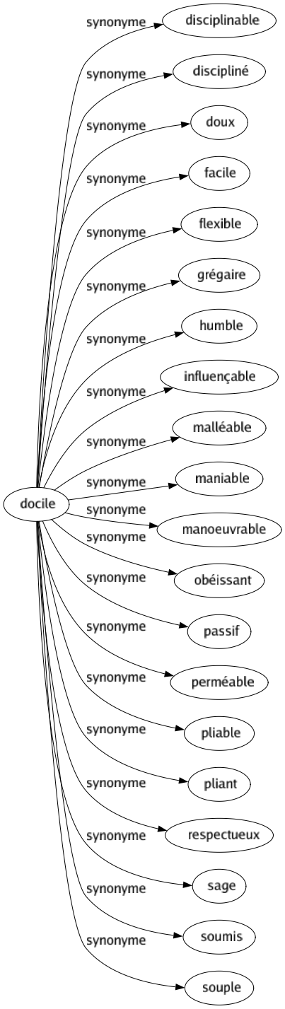 Synonyme de Docile : Disciplinable Discipliné Doux Facile Flexible Grégaire Humble Influençable Malléable Maniable Manoeuvrable Obéissant Passif Perméable Pliable Pliant Respectueux Sage Soumis Souple 