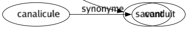 Synonyme de Docte : Cultivé Doctoral Doctrinal Érudit Fort Habile Instruit Lettré Pédant Pédantesque Savant 