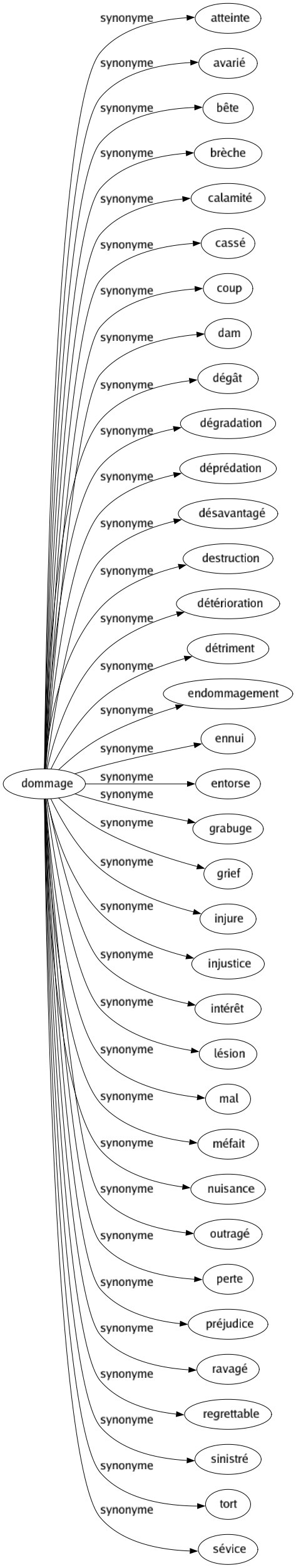 Synonyme de Dommage : Atteinte Avarié Bête Brèche Calamité Cassé Coup Dam Dégât Dégradation Déprédation Désavantagé Destruction Détérioration Détriment Endommagement Ennui Entorse Grabuge Grief Injure Injustice Intérêt Lésion Mal Méfait Nuisance Outragé Perte Préjudice Ravagé Regrettable Sinistré Tort Sévice 