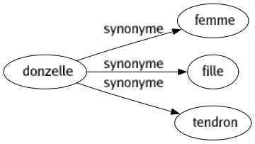 Synonyme de Donzelle : Femme Fille Tendron 