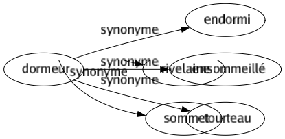 Synonyme de Dormeur : Endormi Ensommeillé Tourteau 
