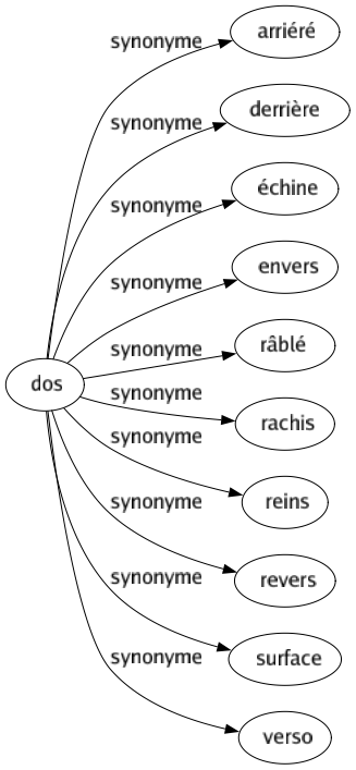 Synonyme de Dos : Arriéré Derrière Échine Envers Râblé Rachis Reins Revers Surface Verso 