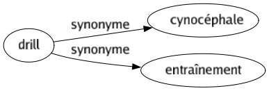 Synonyme de Drill : Cynocéphale Entraînement 