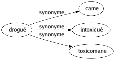 Synonyme de Drogué : Came Intoxiqué Toxicomane 