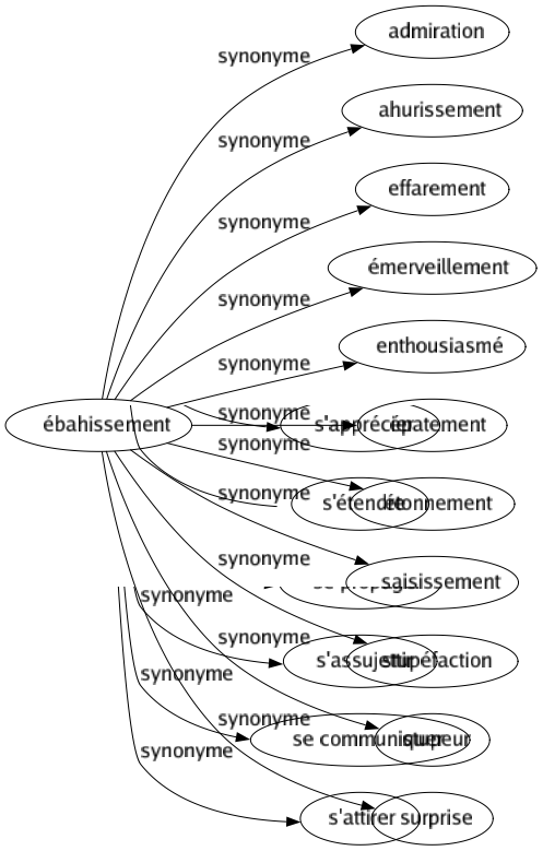 Synonyme de Ébahissement : Admiration Ahurissement Effarement Émerveillement Enthousiasmé Épatement Étonnement Saisissement Stupéfaction Stupeur Surprise 