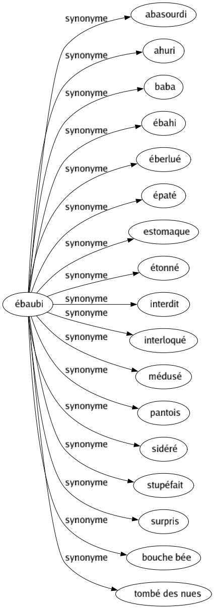 Synonyme de Ébaubi : Abasourdi Ahuri Baba Ébahi Éberlué Épaté Estomaque Étonné Interdit Interloqué Médusé Pantois Sidéré Stupéfait Surpris Bouche bée Tombé des nues 