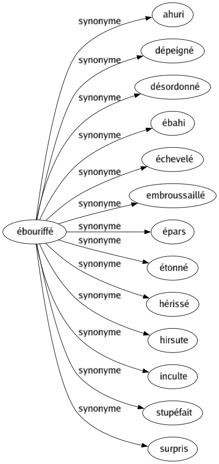 Synonyme de Ébouriffé : Ahuri Dépeigné Désordonné Ébahi Échevelé Embroussaillé Épars Étonné Hérissé Hirsute Inculte Stupéfait Surpris 
