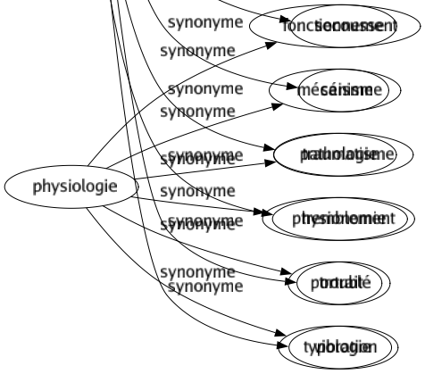 Synonyme de Ébranlement : Affaiblissement Agitation Altération Bouleversement Choc Commotion Confusion Convulsion Coup Crise Déclin Déstabilisation Émoi Émotion Étourdissement Jeté Perturbation Ruiné Saisissement Secousse Séisme Traumatisme Tremblement Troublé Vibration 