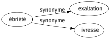 Synonyme de Ébriété : Exaltation Ivresse 