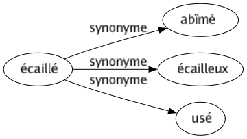 Synonyme de Écaillé : Abîmé Écailleux Usé 