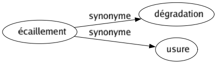 Synonyme de Écaillement : Dégradation Usure 