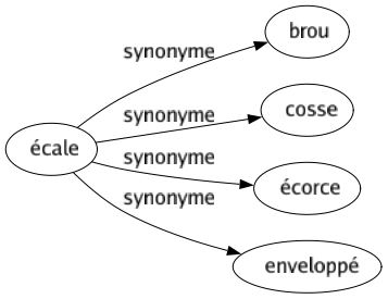 Synonyme de Écale : Brou Cosse Écorce Enveloppé 